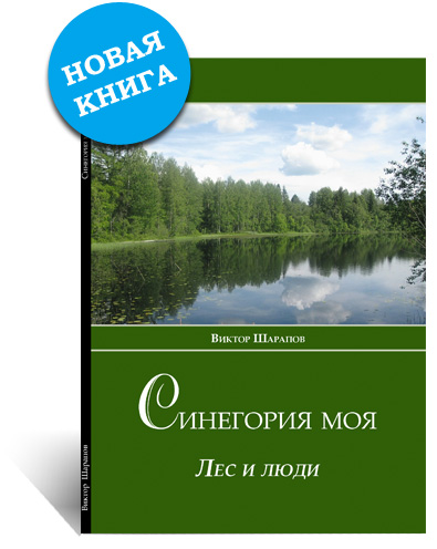 http://lotsiya.ru/stories/sinegoriya-moya-shsrspov.jpg